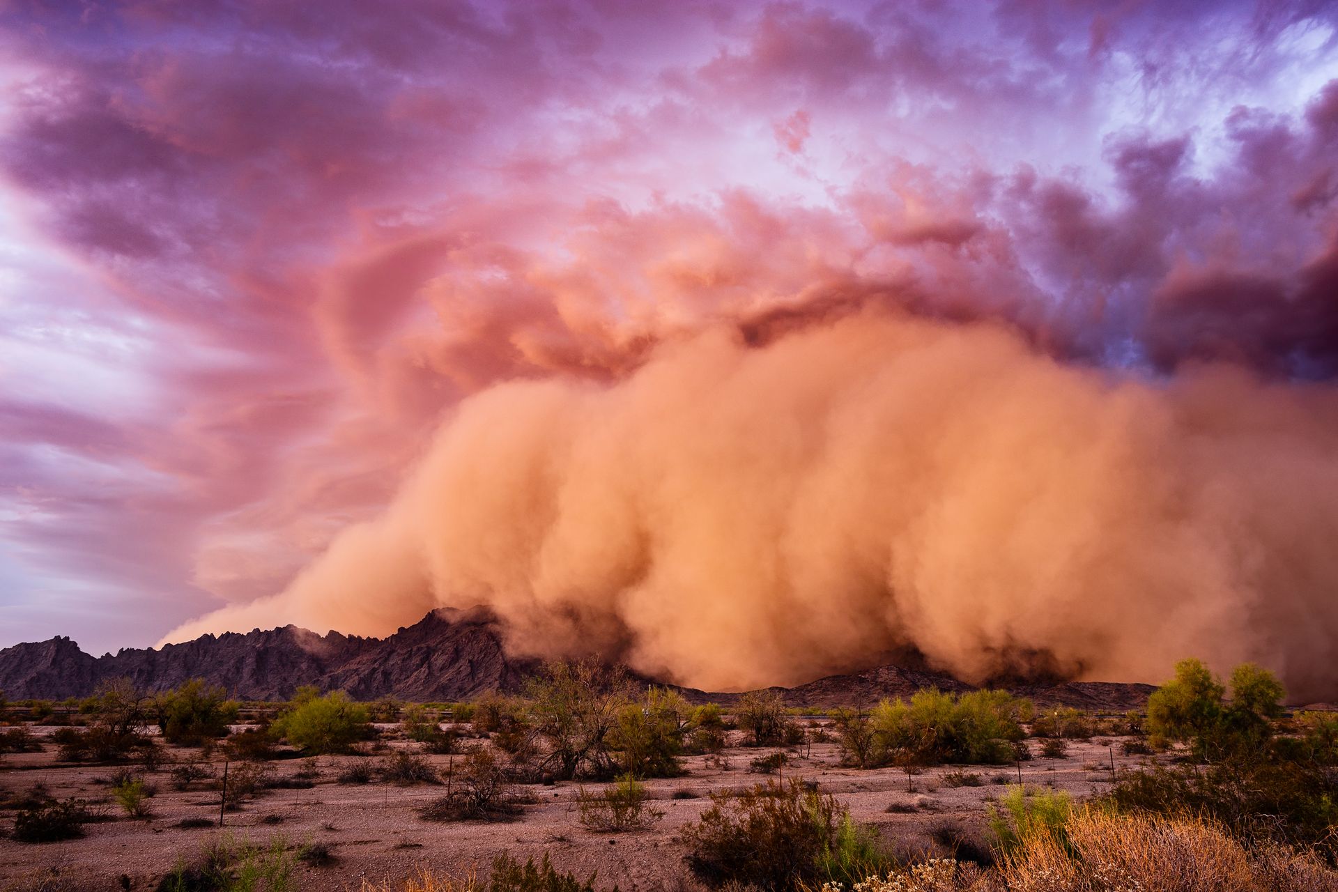 Arizona haboob dust storm rolling across the desert at sunset